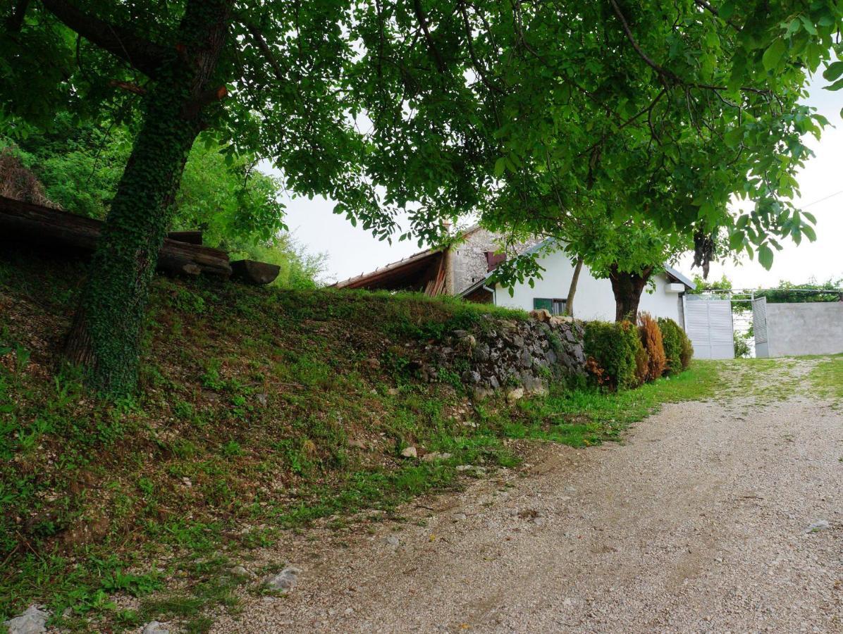 Old House Kontic Apartamento Nikšić Exterior foto